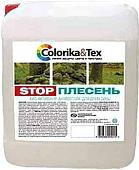 Антисептик Colorika & Tex Stop плесень 5 кг