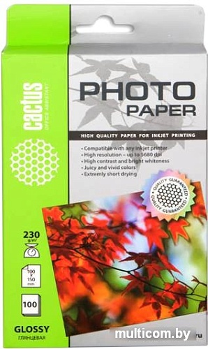 Фотобумага CACTUS Глянцевая A6 230 г/кв.м. 100 листов (CS-GA6230100)