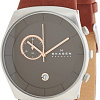 Наручные часы Skagen SKW6085