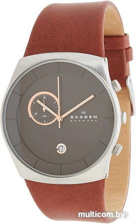 Наручные часы Skagen SKW6085