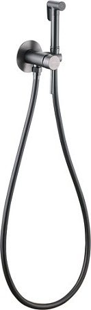 Гигиенический душ Abber Wasser Kreis AF8125NG (никель)