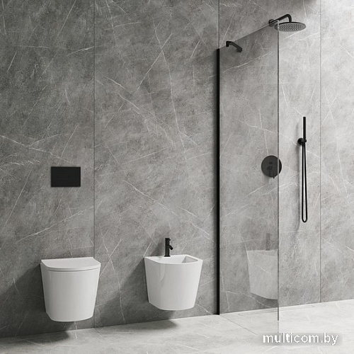 Душевая стенка Omnires Marina DNR12XBLTR