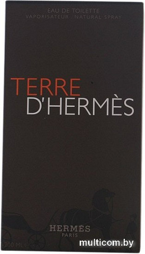 Hermes Terre d'Hermes EdT (200 мл)