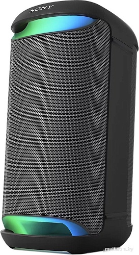 Патибокс Sony SRS-XV500