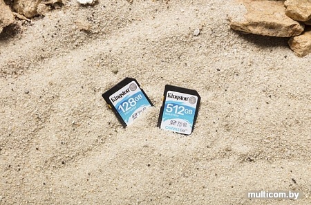 Карта памяти Kingston Canvas Go! SDG/128GB SDXC 128GB