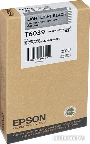 Картридж Epson C13T603900