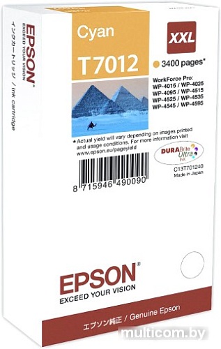 Картридж Epson C13T70124010