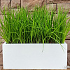 Искусственное растение Forgarden FGK29 BN10784