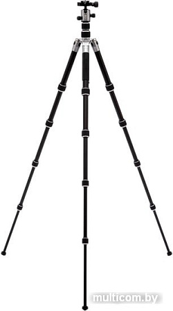 Трипод Benro FTR19AB0GTTN