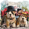 Пазл Нескучные игры Road Trip 8417