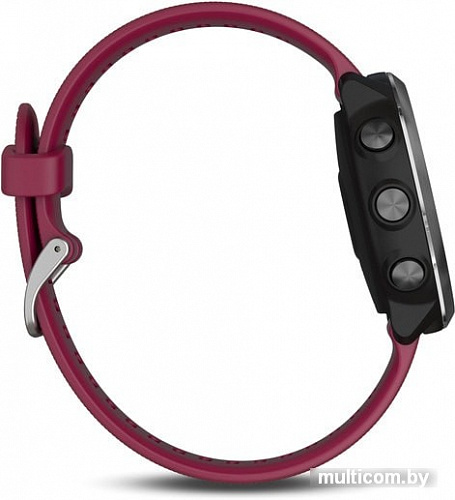 Умные часы Garmin Forerunner 645 Music (вишневый)