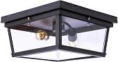 Припотолочная люстра LOFT IT LOFT3110-2C Black