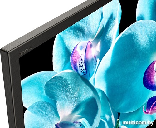 Телевизор Sony KD-75XG8096