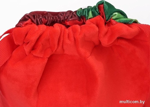 Мешок для обуви Milo Toys Волшебство 10099454