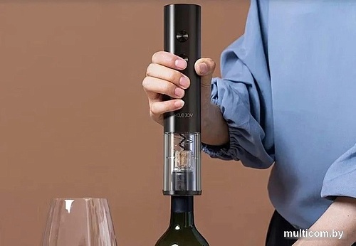 Электроштопор Circle Joy CJ-EKPQ10