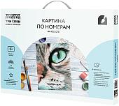 Картина по номерам Три совы Кошачий взгляд КХ_44139