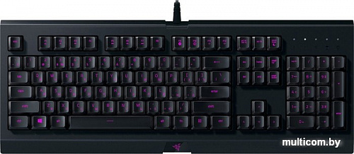 Клавиатура Razer Cynosa Lite