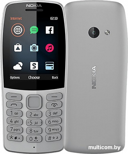 Мобильный телефон Nokia 210 (серый)