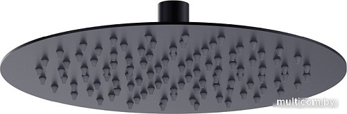 Душевая лейка Lemark LM9481BL