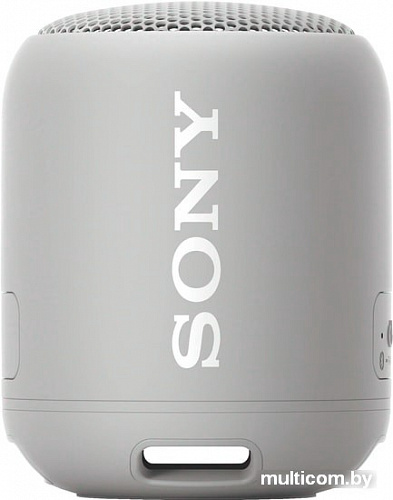 Беспроводная колонка Sony SRS-XB12 (серый)