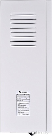 Отопительный котел Thermex Boss 12 Wi-Fi (белый)