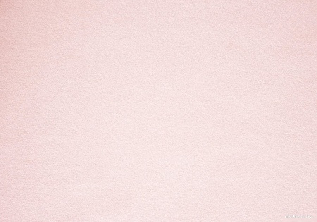 Декоративная подушка Сонум Тедди 30x50 (розовый)