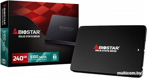 SSD BIOSTAR S100 256GB S100-256G