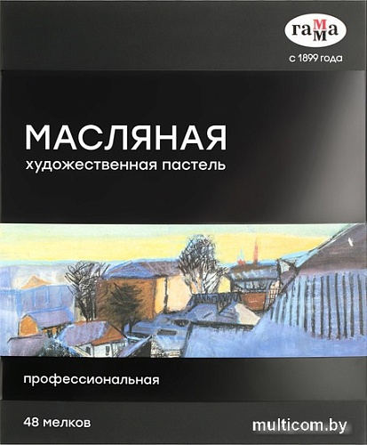 Набор масляной пастели Гамма 5042348 (48 цв)