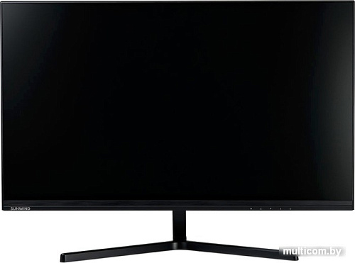 Игровой монитор SunWind SUN-M24BG110