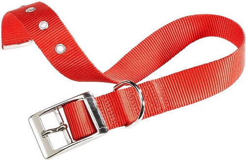 Ошейник Ferplast Club CF25/45 75266922 (красный)