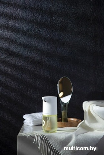 Дозатор Simpleway ZDXSJ02XW (зеленый)