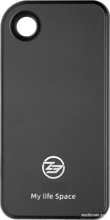 Внешний накопитель KingSpec Z3S 512GB (черный)