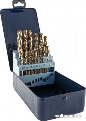 Набор оснастки Thorvik TDBS19K5 (19 предметов)