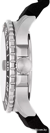 Наручные часы Fossil FS6036