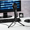 Микрофон Hama MIC-USB Stream 00139907