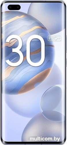 Смартфон HONOR 30 Pro+ EBG-AN10 8GB/256GB (титановый серебристый)