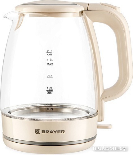 Электрический чайник Brayer BR1067