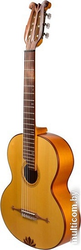 Акустическая гитара Doff RGS