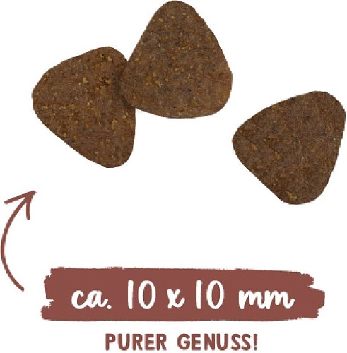 Сухой корм для кошек Bosch Sanabelle Indoor mit Perlhuhn & Preiselbeeren 2 кг