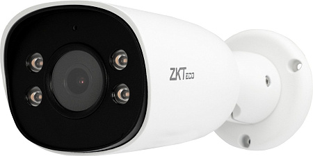 IP-камера ZKTeco BS-855P11T-S7-C-MI