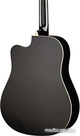 Акустическая гитара Naranda TG220CBK