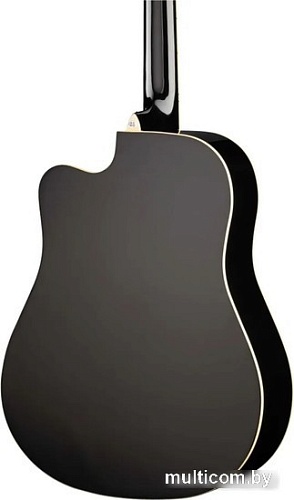 Акустическая гитара Naranda TG220CBK