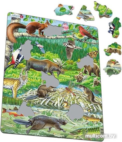 Мозаика/пазл Larsen Северный лес FH15