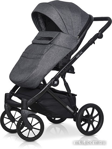 Универсальная коляска Riko Basic Delta (2 в 1, 05/carbon)