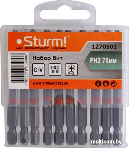 Набор бит Sturm 1270501 (10 предметов)