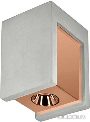 Точечный светильник LOFT IT Architect OL1073-GG