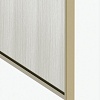 Душевая стенка Maxonor Pure Life PL-SE301AGL-6 (110) (золото матовый)