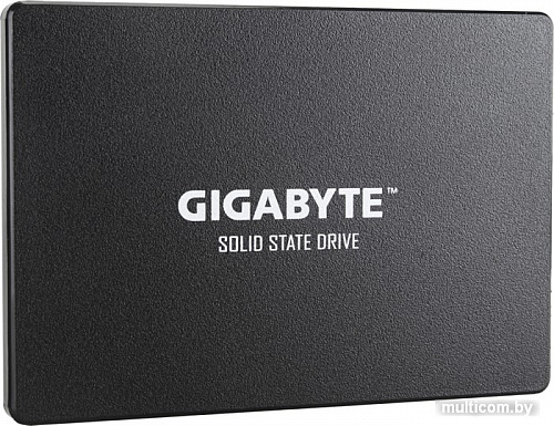 SSD Gigabyte 120GB GP-GSTFS31120GNTD