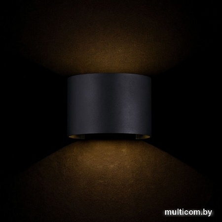 Уличный настенный светильник Maytoni Fulton O573WL-L6B