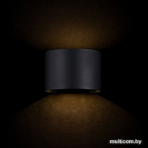 Уличный настенный светильник Maytoni Fulton O573WL-L6B